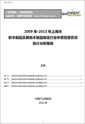 2009-2013年上海市軟木制品及其他木制品制造行業(yè)經(jīng)營狀況分析年報